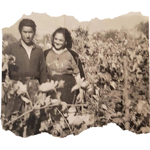 foto di Salvatore Licari nonno e la moglie